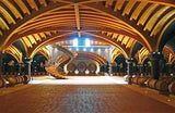 Neu!!! Viognier Toscana 2023 - Cantina Petra I Vini Del Mare Belvento