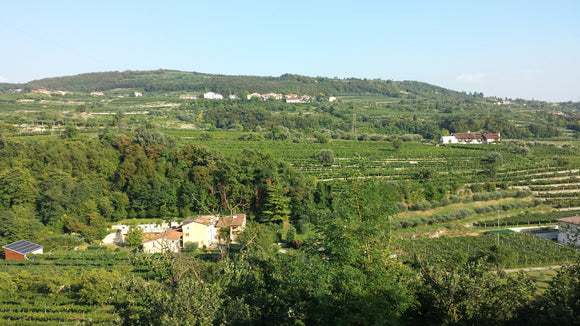 Valpolicella