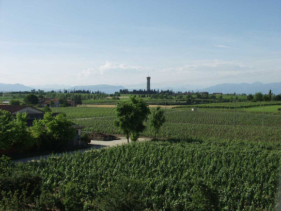 Lugana Superiore / Riserva