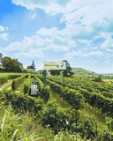 2024 Frisch eingetroffen!!! Zaleo - Bianco di Custoza - Aldegheri