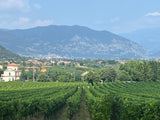 Bella Vista Satèn Franciacorta DOC - Soc. Agr. Bella Vista