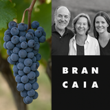 Collage mit Brancaia Weintrauben, Familienportrait und Markenlogo – italienischer Bio-Rotwein aus der Toskana