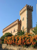 Tralcio Bolgheri Rosso DOC - Azienda Vinicola La Torre