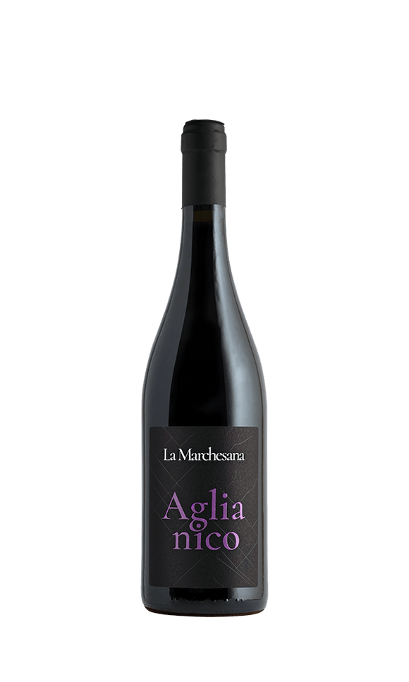 La Marchesan Aglianico, elegante Weinflasche vor schwarzem Hintergrund