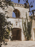Sasseo Salento Primitivo IGT - Masseria Altemura