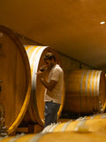 Sasseo Salento Primitivo IGT - Masseria Altemura