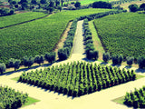 Neu!!! Hebo Rosso Toscana IGT - Az. Agr. Petra