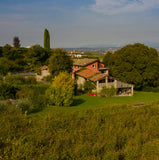 Lugana Superiore - Poggio al Garda