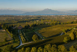 Blick vom Weingut auf den Gardasee 