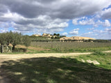 Neu in der Vinoteca!!Frisch eingetroffen!!! 2022 Carizza Insolia, Sicilia DOC - Feudo Principi dei Buterai