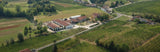 Pinot Grigio Friuli Colli Orientali DOC - Sirch