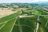 Fontevecchia Verdicchio dei Castelli di Jesi Superiore - Cantina Casal Farneto