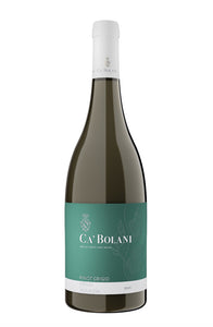 Pinot Grigio Friuli DOC - Ca' Bolani