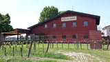 2023 Frisch eingetroffen!! Torfel (Tuchi) San Martino della Battaglia DOP - Az. Agr. Feliciana