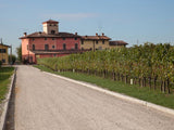 La-Rifra-produzione-vendita-vini1_767_575_1