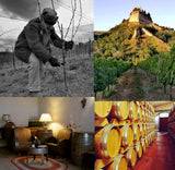 Frisch eingetroffen!!! 2023er Pecorino Offida Bio DOCG - Tenuta de Angelis